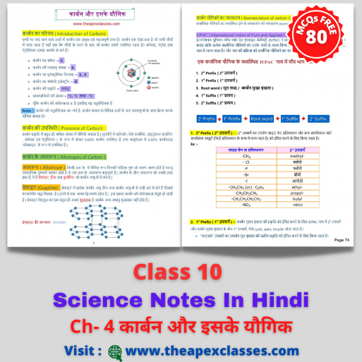 class 10 sst economics chapter 4 in hindi