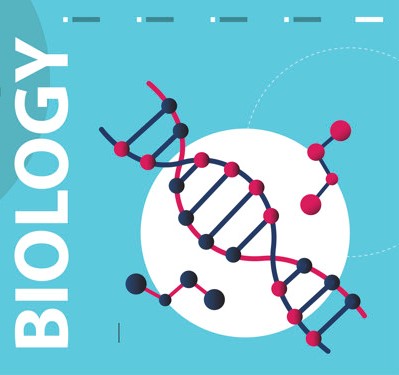 Class 12 Biology Notes