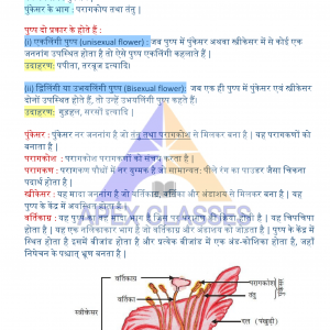 Class 10 Science Biology Notes In Hindi