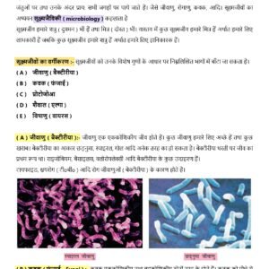 Class 8 Science Notes Chapter – 2 सूक्ष्मजीव :मित्र एवं शत्रु