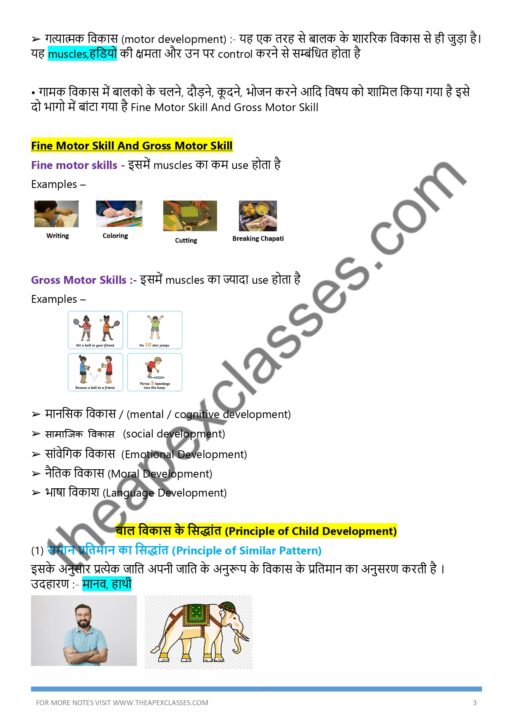 CTET बाल विकास और शिक्षाशास्त्र Notes PDF - Image 3