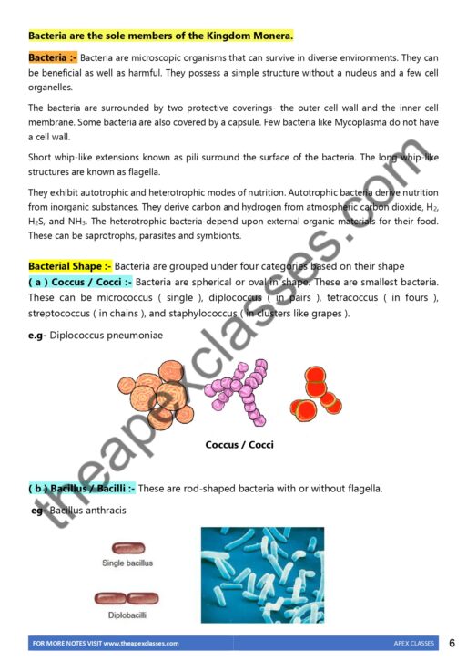 Class 11 Biology Chapter 2 Notes : Biological Classification PDF – APEX ...