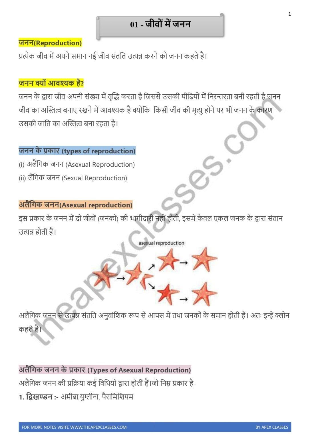Class 12 Biology Notes In Hindi PDF ( All Chapters ) – APEX CLASSES