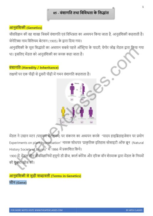 Class 12 biology notes in hindi pdf all chapters apex classes