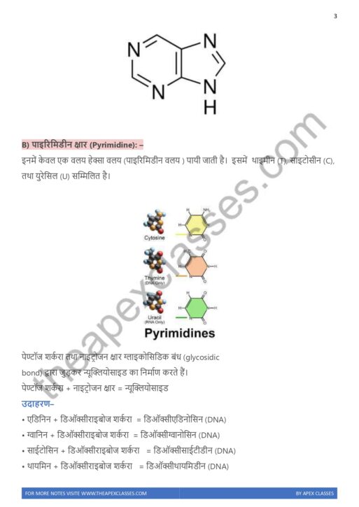 Class 12 Biology Notes In Hindi PDF ( All Chapters ) - Image 5