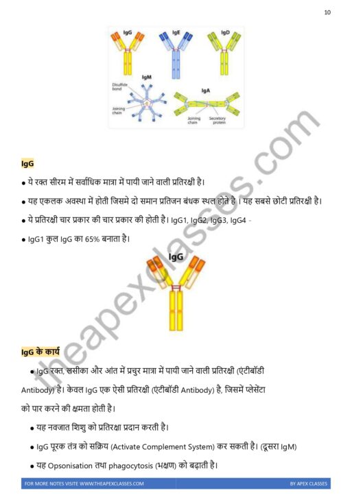 Class 12 Biology Notes In Hindi PDF ( All Chapters ) - Image 6