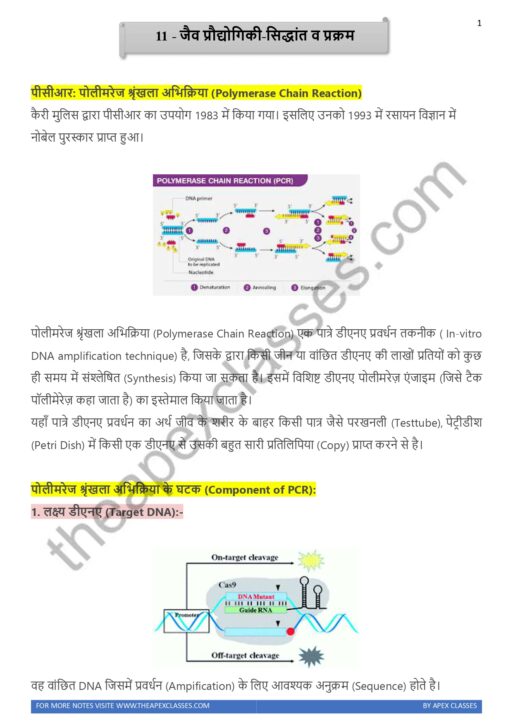 Class 12 Biology Notes In Hindi PDF ( All Chapters ) - Image 7