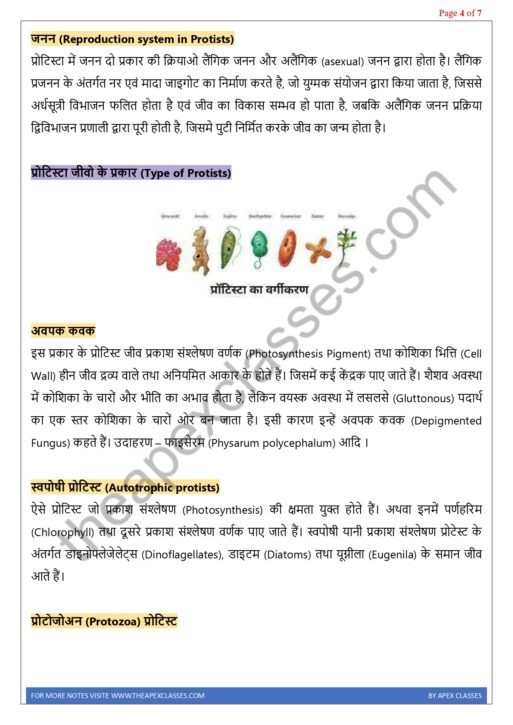 Class 11 Biology Notes In Hindi PDF ( All Chapters ) - Image 2