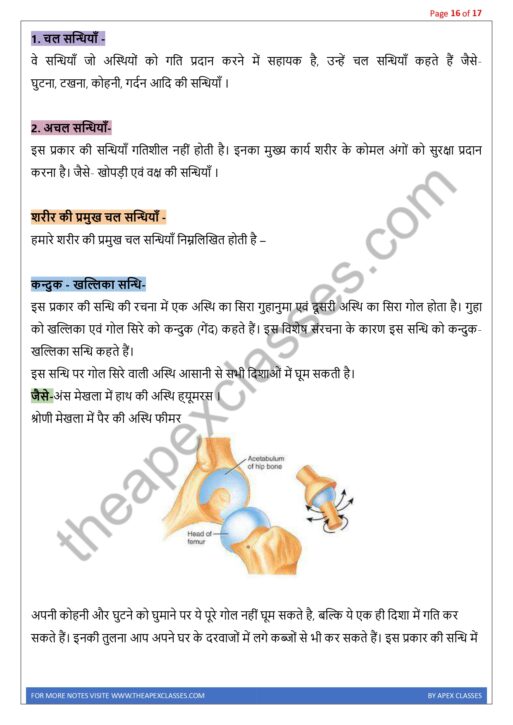 Class 11 Biology Notes In Hindi PDF ( All Chapters ) - Image 6