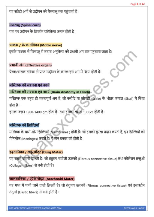 Class 11 Biology Notes In Hindi PDF ( All Chapters ) - Image 7