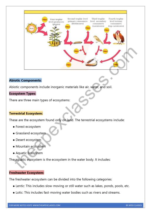 Class 12 Biology Notes In English PDF ( All Chapters ) - Image 6