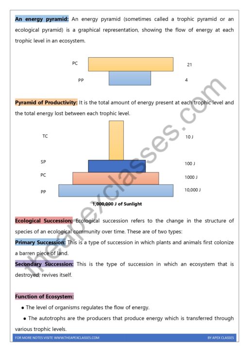 Class 12 Biology Notes In English PDF ( All Chapters ) - Image 7