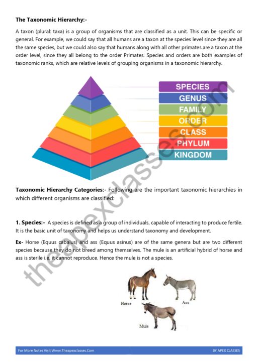 Class 11 Biology Notes In English PDF ( All Chapters ) - Image 5
