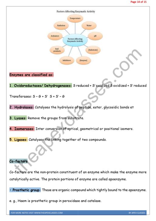Class 11 Biology Notes In English PDF ( All Chapters ) - Image 4