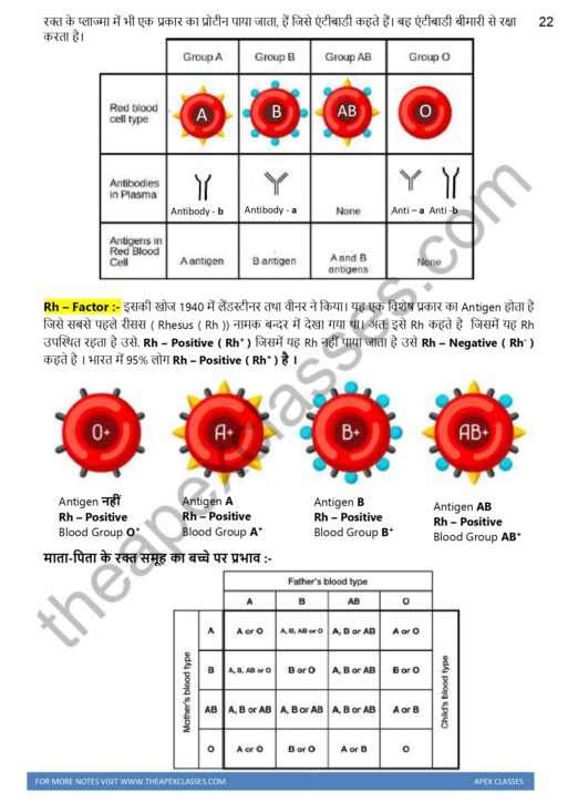 Class 10 Science Notes In Hindi ( Notes + MCQs ) PDF - Image 8