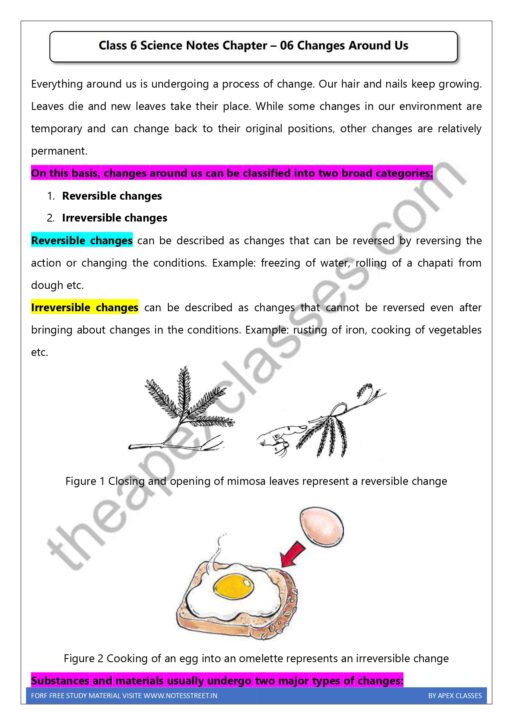 Class 6 Science Notes In English PDF - Image 3