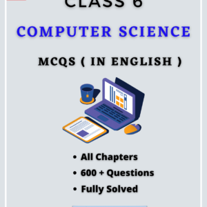 Class 6 Computer Science MCQs In English PDF